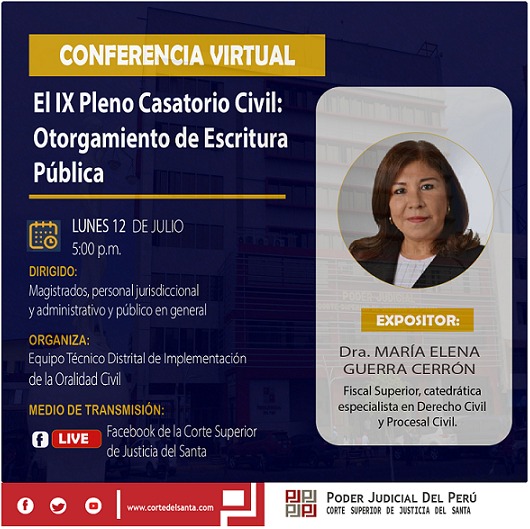 EL IX PLENO CASATORIO CIVIL: OTORGAMIENTO DE ESCRITURA PÃšBLICA