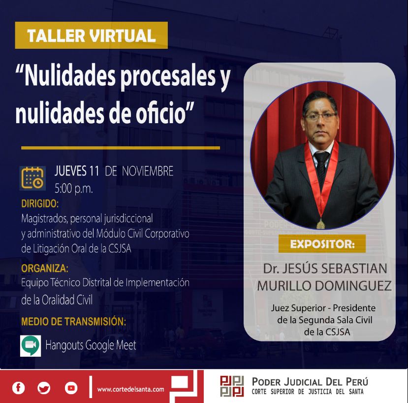 NULIDADES PROCESALES Y NULIDADES DE OFICIO