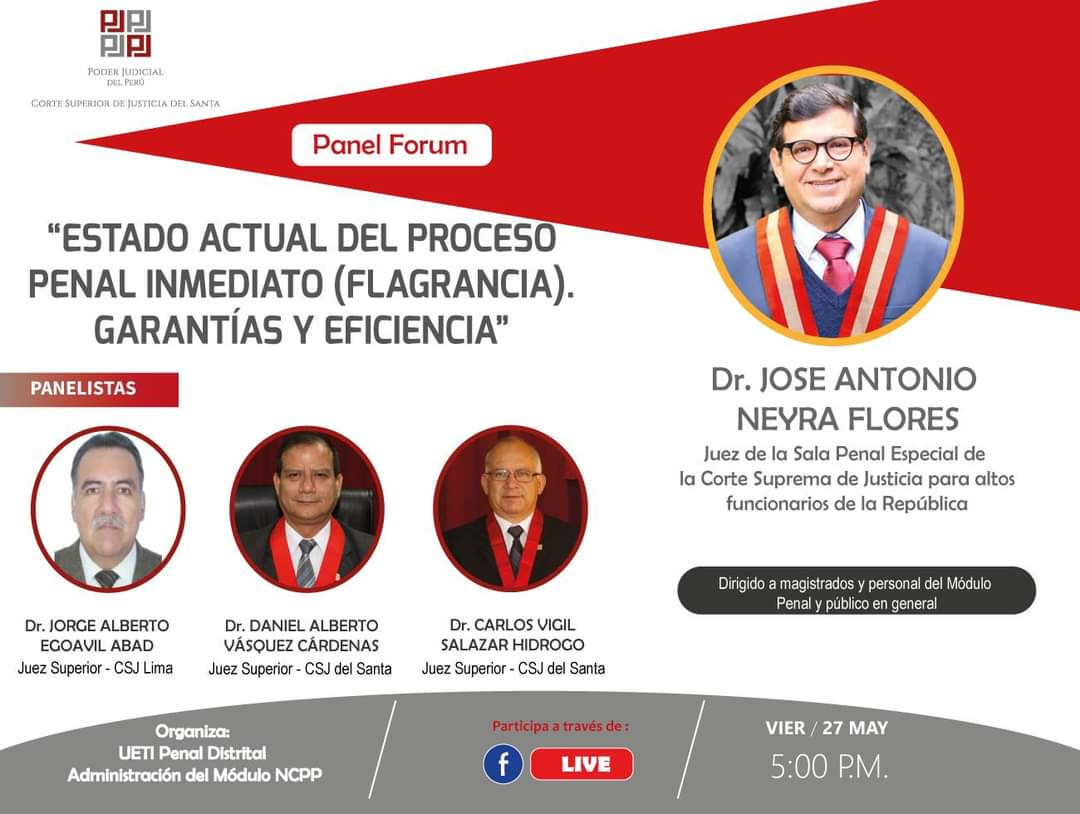ESTADO ACTUAL DEL PROCESO PENAL INMEDIATO (FLAGRANCIA) GARANTIA Y EFICIENCIA