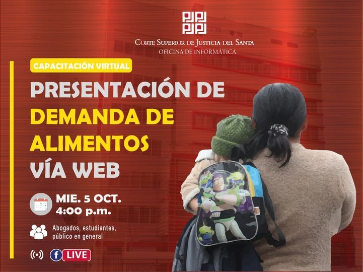 PRESENTACIÃ“N DE DEMANDA DE ALIMENTOS VÃA WEB