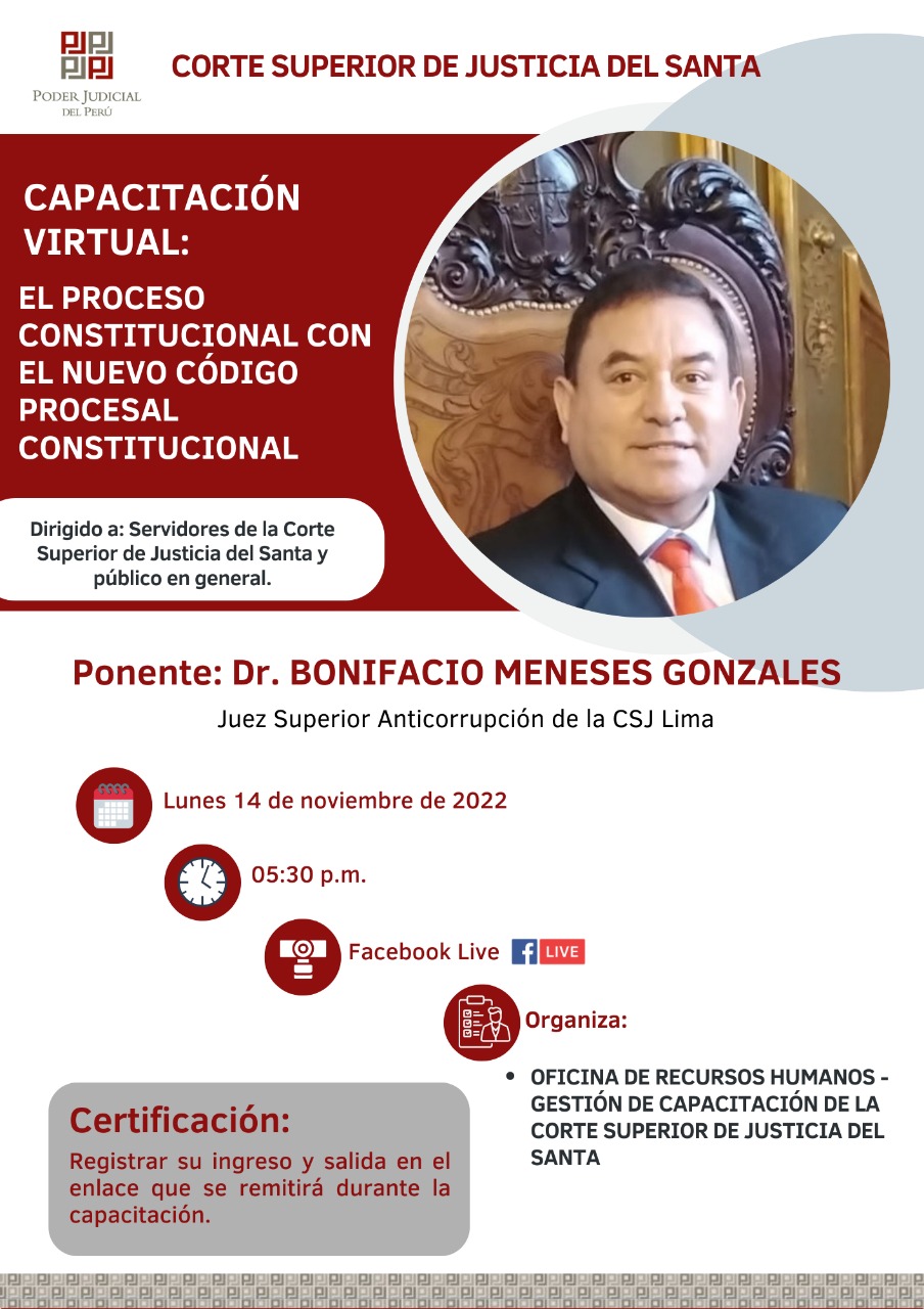 EL PROCESO CONSTITUCIONAL CON EL NUEVO CÃ“DIGO PROCESAL CONSTITUCIONAL