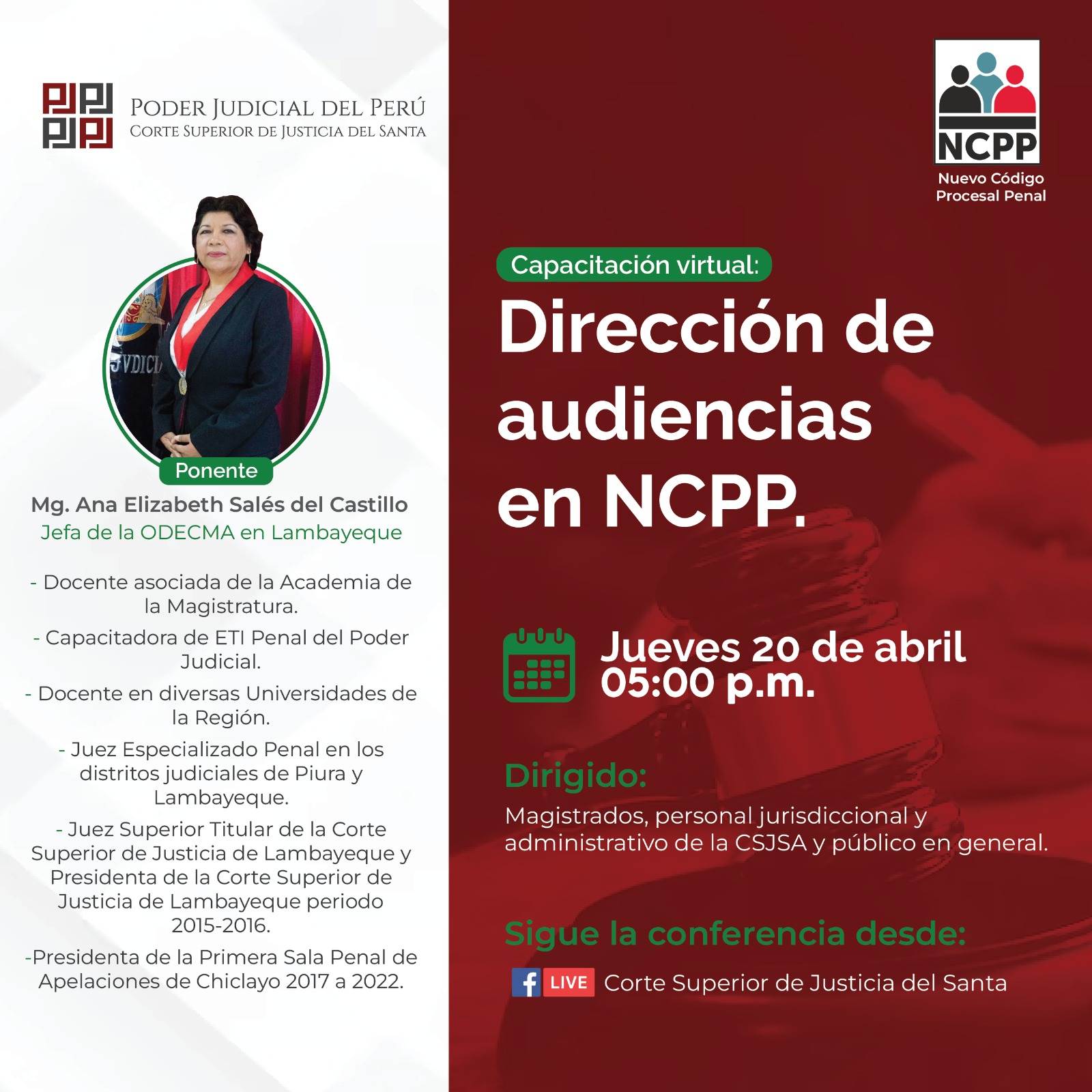 DIRECCIÓN DE AUDIENCIAS EN NCPP