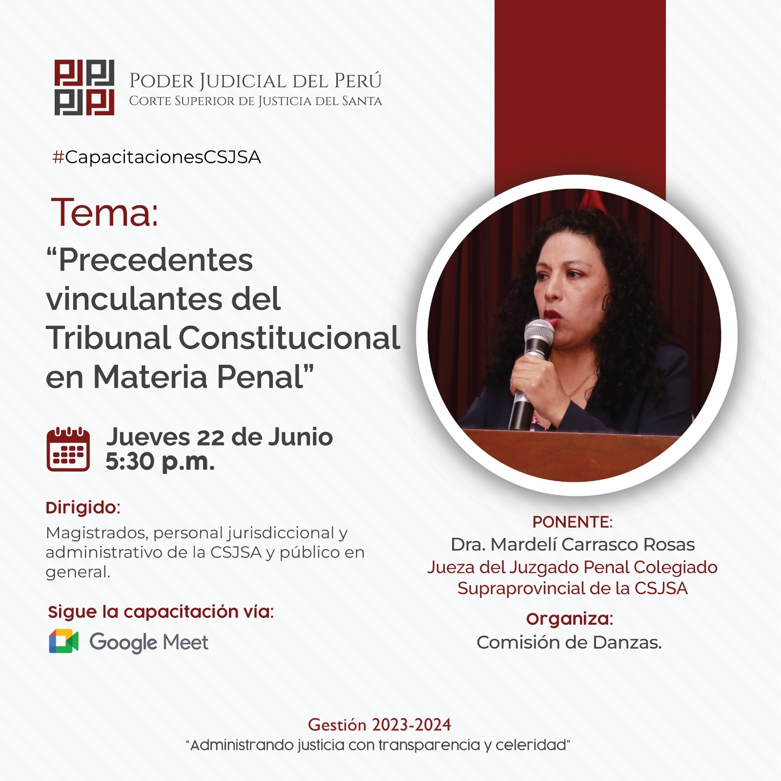 PRECEDENTES VINCULANTES DEL TRIBUNAL  CONSTITUCIONAL EN MATERIA PENAL
