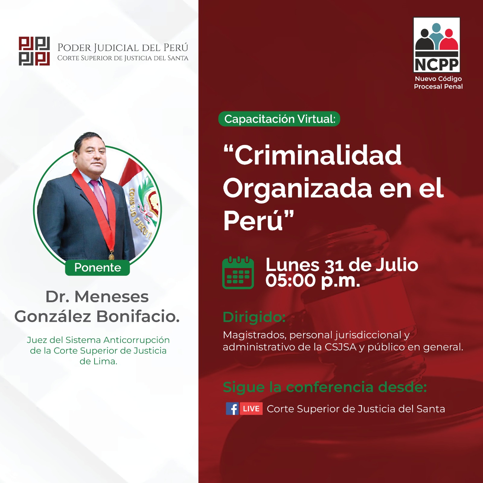 CRIMINALIDAD ORGANIZADA EN EL PERU