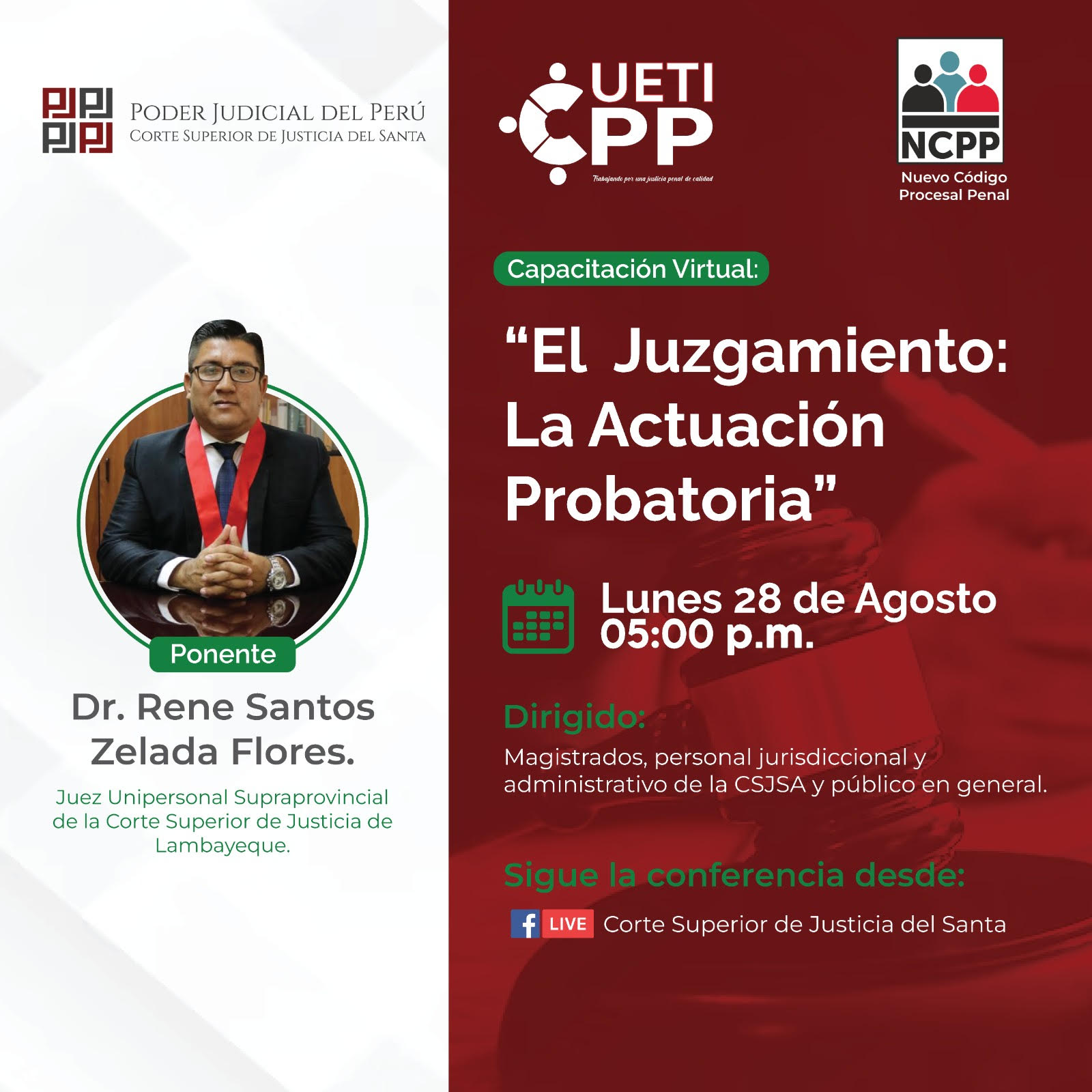 EL JUZGAMIENTO: LA ACTUACIÓN PROBATORIA