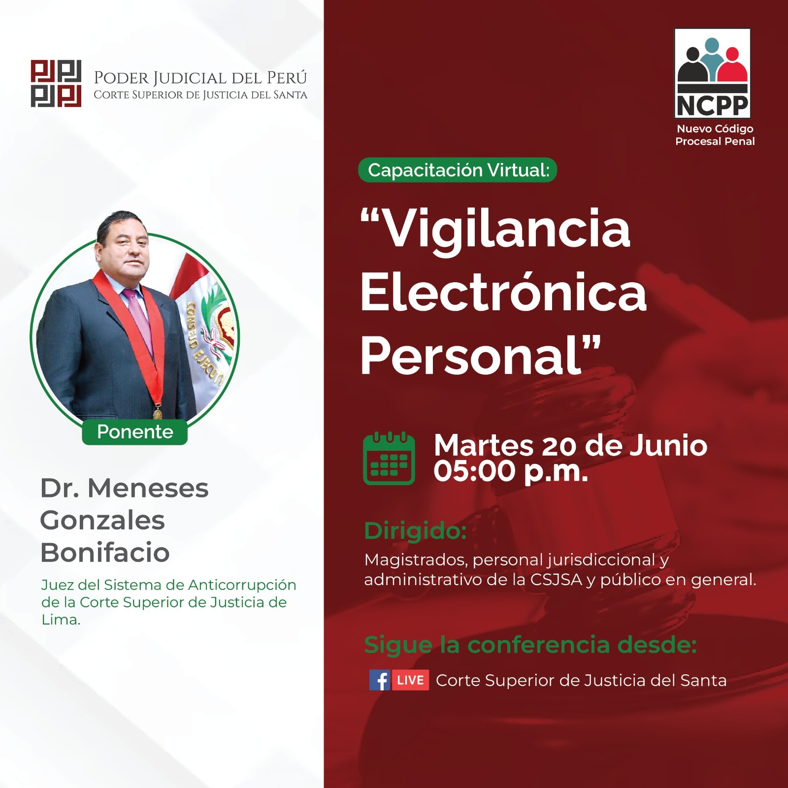 VIGILANCIA ELECTRONICA PERSONAL 