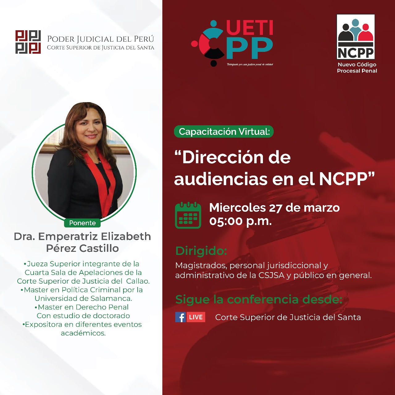 DIRECCIÓN DE AUDIENCIAS EN EL NCPP